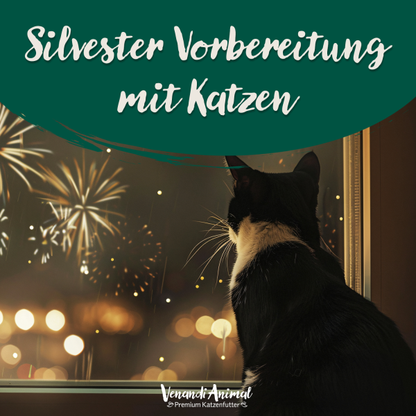 Silvester